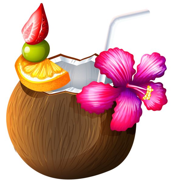 Drinks coconut drink clipart coconut fruit clip art downloadclipart org