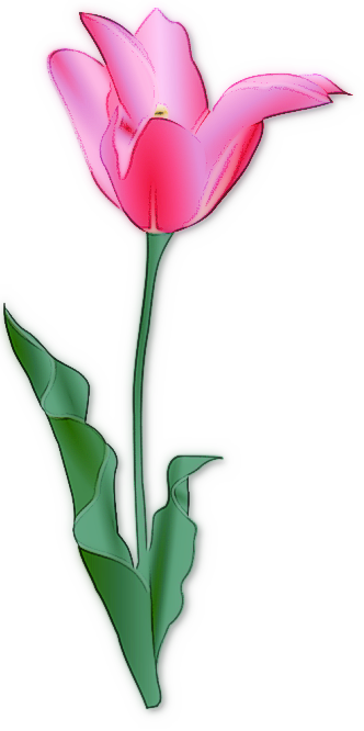 Free tulip clipart public domain flower clip art images and 2