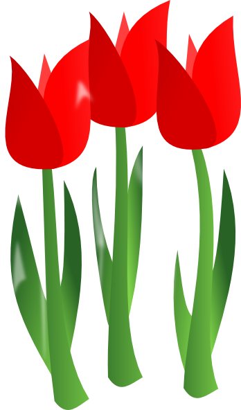 Tulip clip art the 2