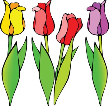 Tulip flower clip art free free clipart images 2
