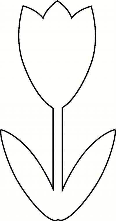 Tulip flower outline clipart