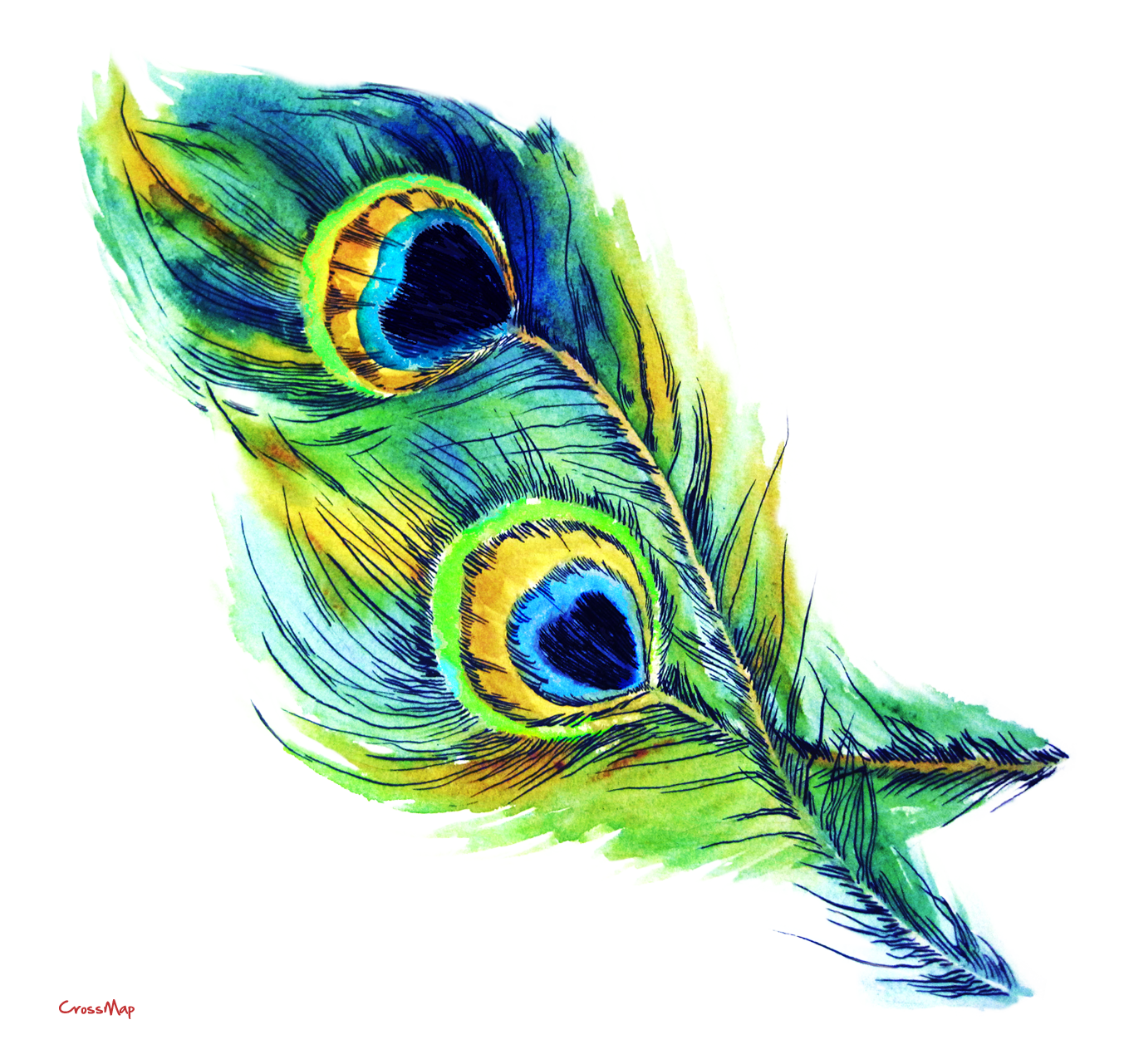 0 images about feathers on tribal feather peacock clip art