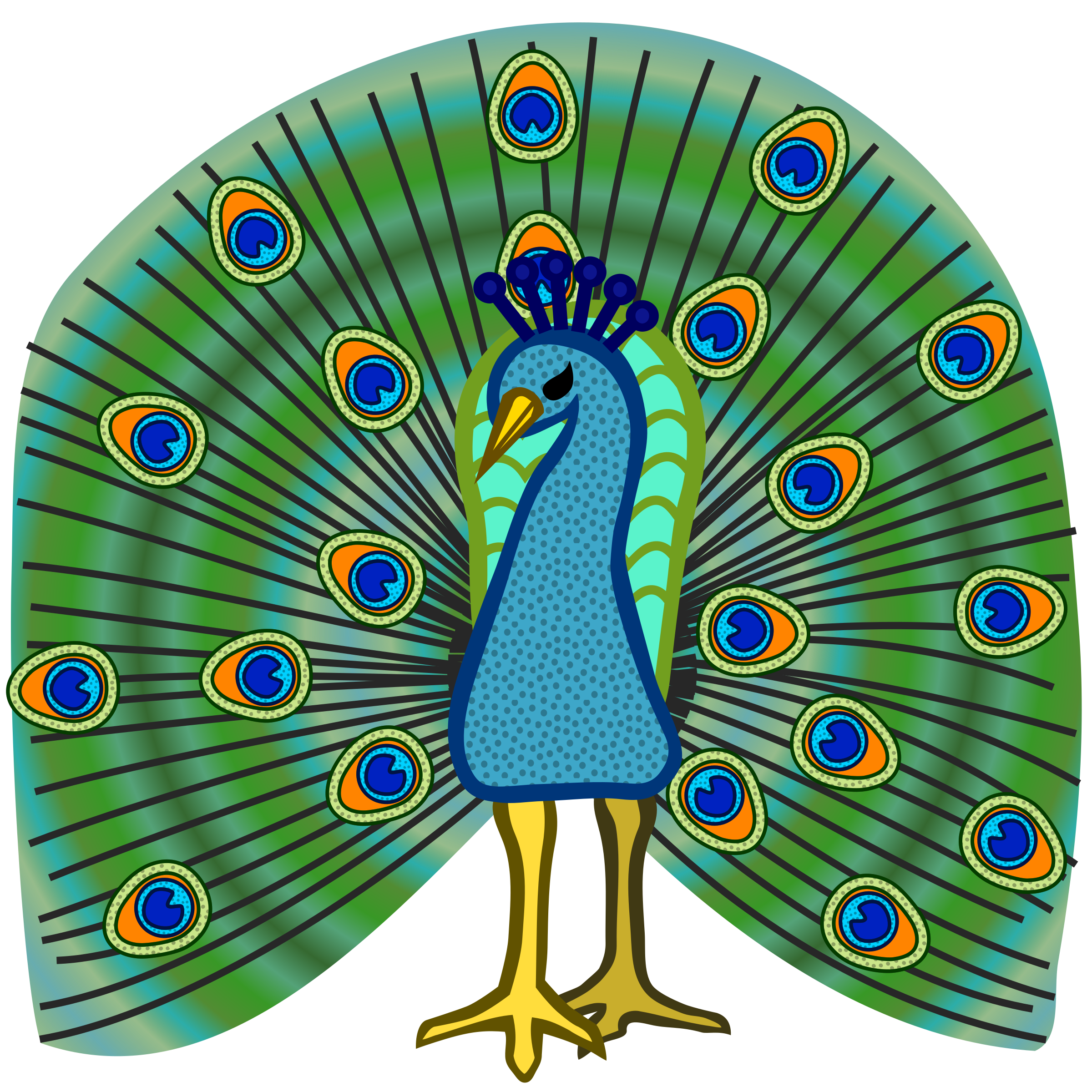 Clipart peacock coloured