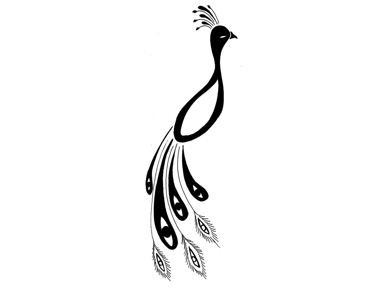 Peacock basic feather outline clipart clipart kid