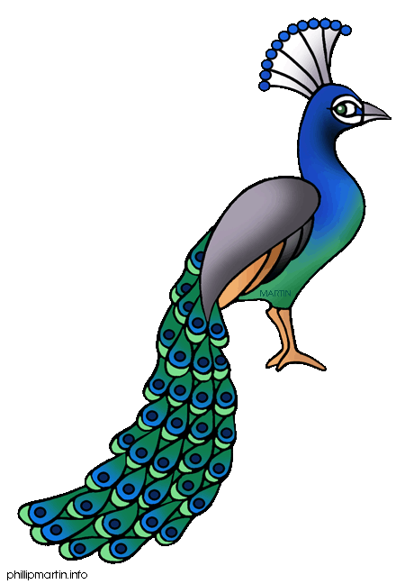 Peacock clipart free clipart images 2