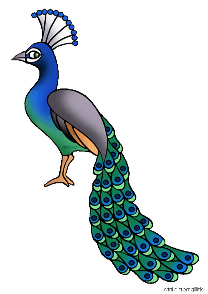 Peacock clipart free clipart images 5