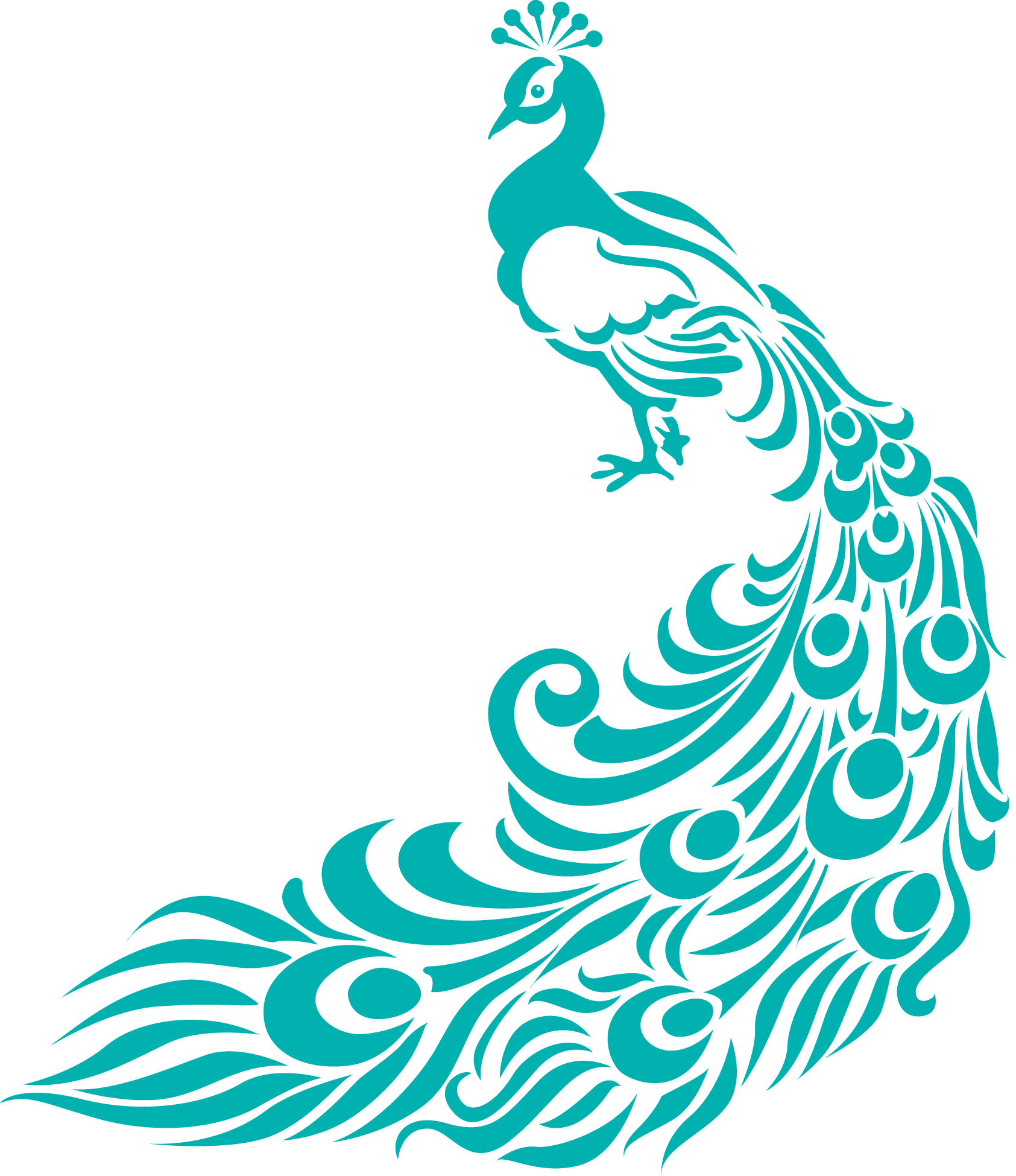 Peacock clipart free clipart images 7
