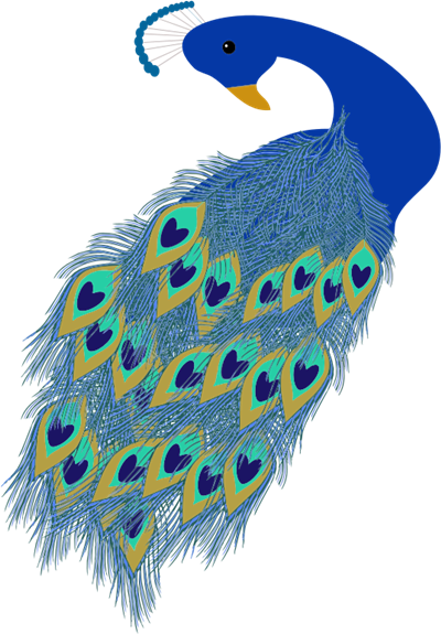Peacock free to use  clip art 3