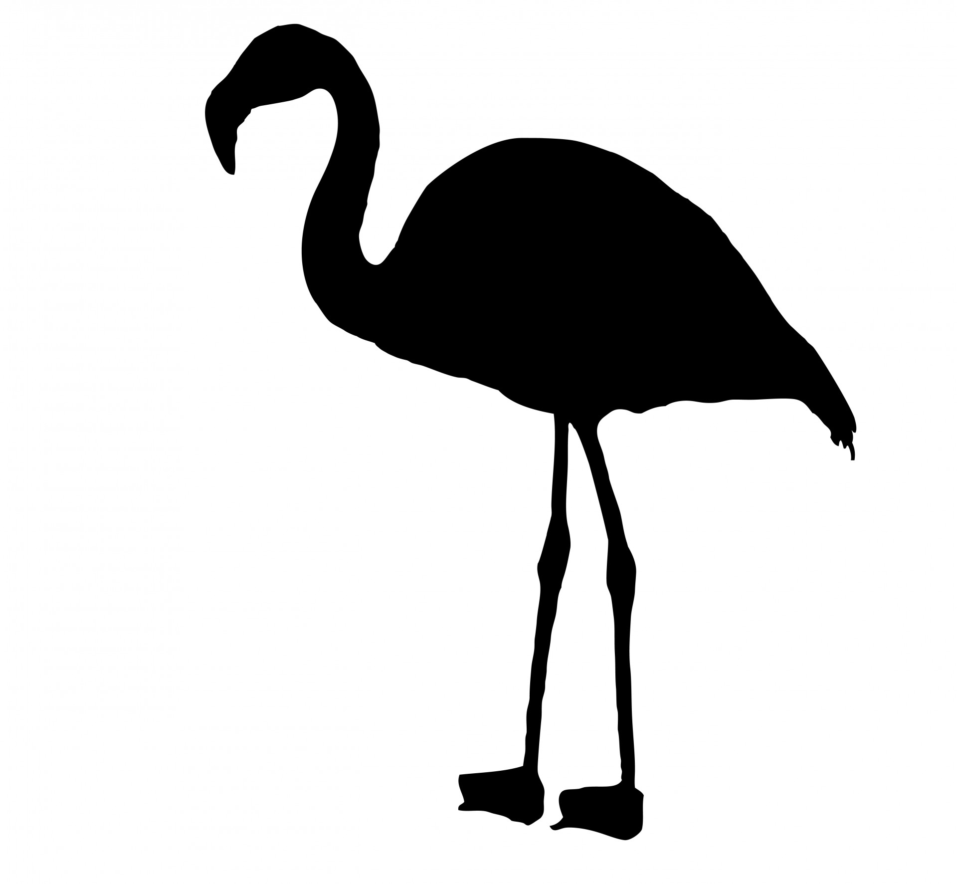 Flamingo bird silhouette clipart free stock photo public domain 2