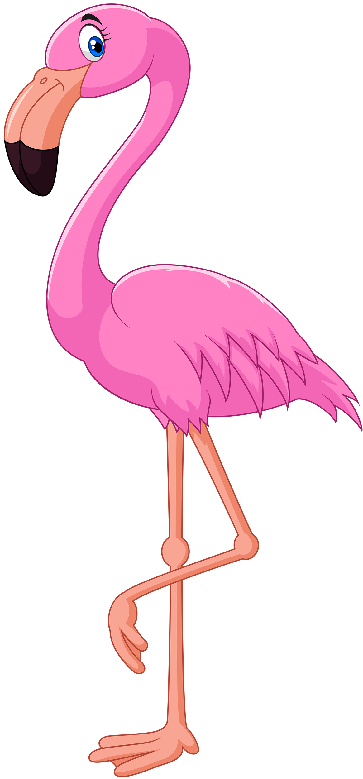Flamingo clip art free free clipart images 4 clipartix