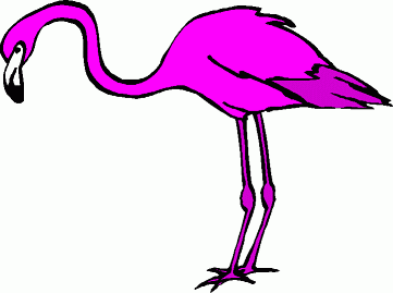 Flamingo clipart 2 2