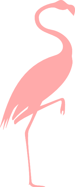 Flamingo clipart hostted