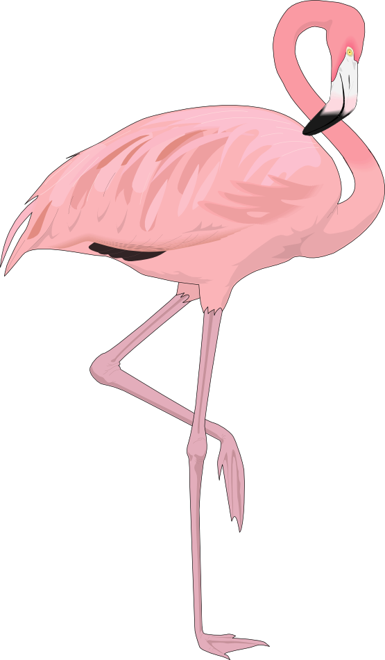 Flamingo free to use  clip art 2