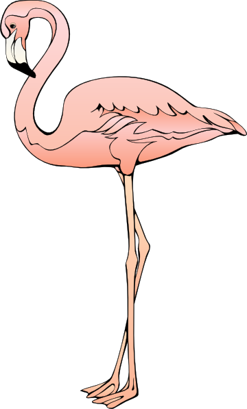 Flamingo free to use  clip art 4