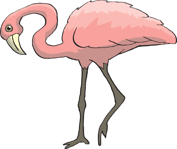 Flamingo free to use  clipart 2