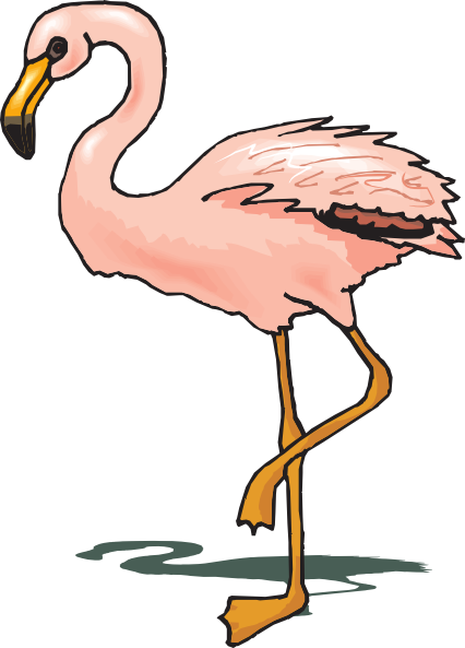 Flamingo outline clipart clipart kid