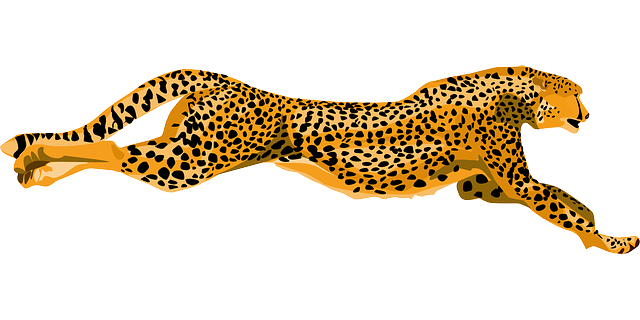 Cartoon cheetah yellow cartoon running cheetah leaping leopard public clipart