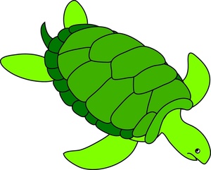 Cartoon sea turtle sea turtle cartoon clip art 5