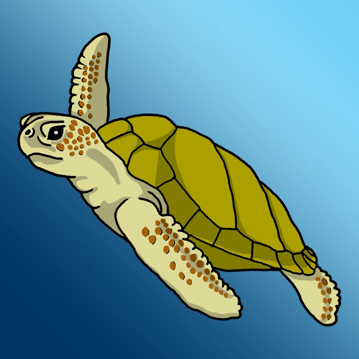 Cartoon sea turtle sea turtle cartoon clipart 2