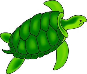 Cartoon sea turtle sea turtle clipart image green sea turtle swimming underwater