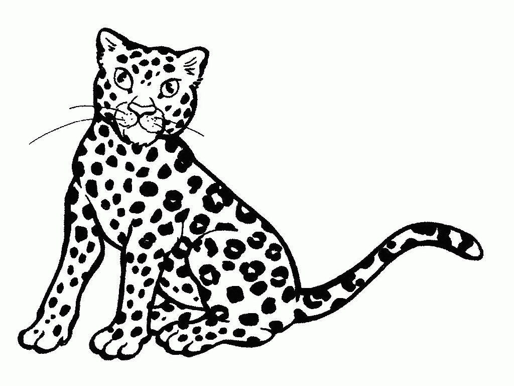 Coloring cheetah animal cartoon cheetah coloring pages kids clipart image  #41011