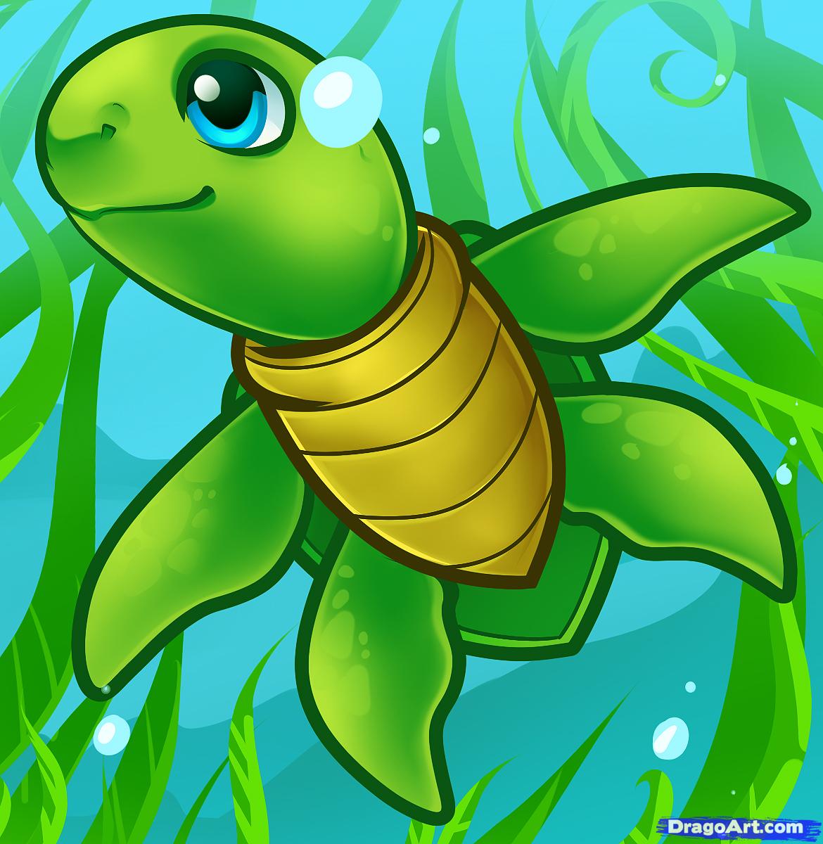 How to draw a sea turtle cartoon sea turtle step by step clipart