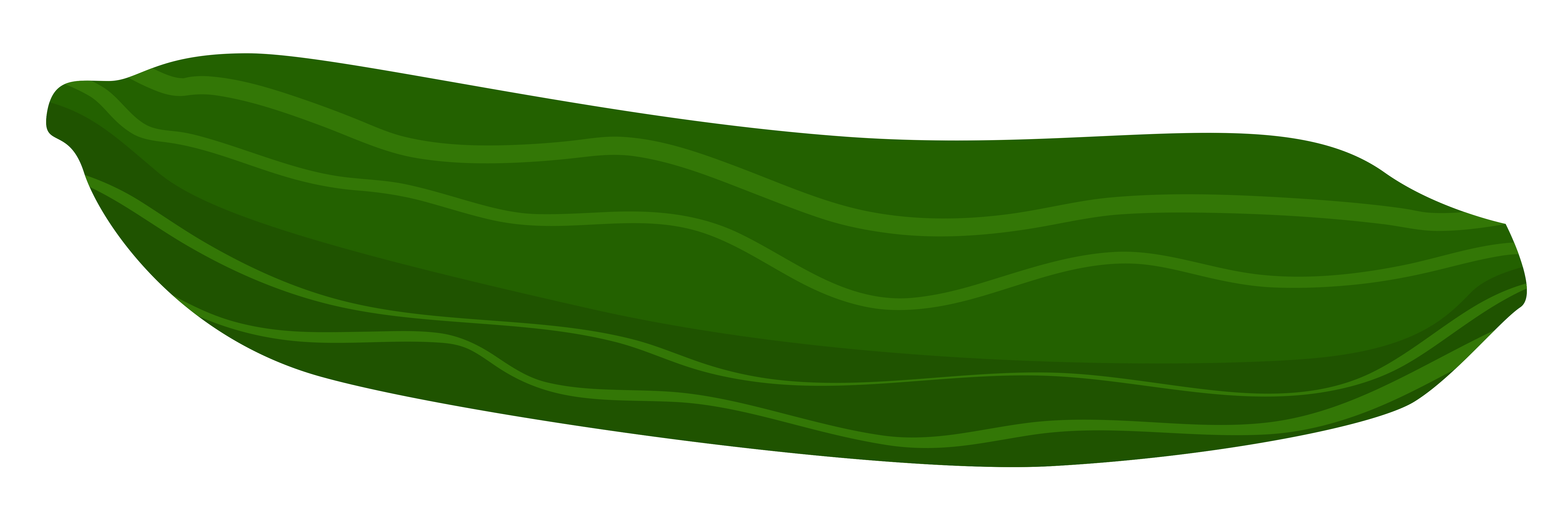 Cucumber clipart clipart 2