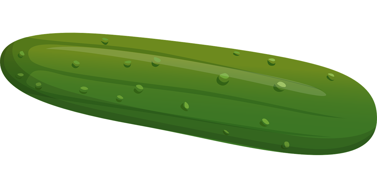 Cucumber free to use  clipart