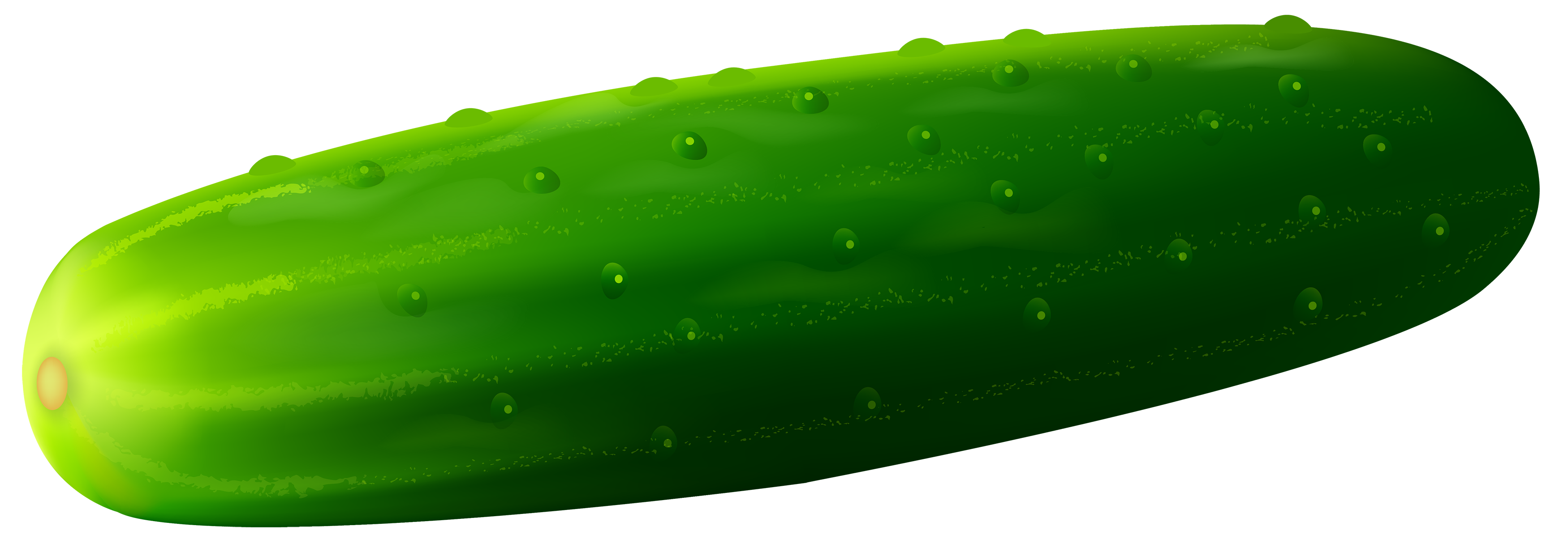 Cucumber images free download clipart