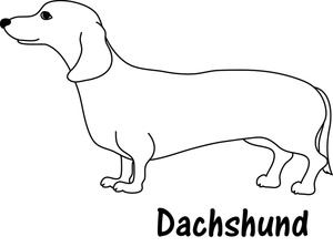 Dachshund clipart image line drawing of a dachshund dog or
