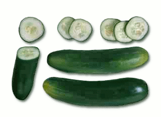 Free cucumber clipart 1 page of public domain clip art