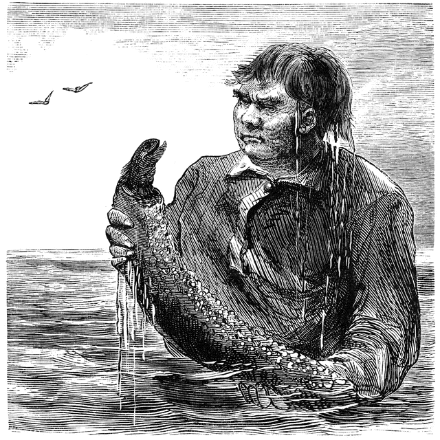 Man holding sea cucumber clipart etc