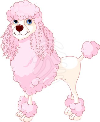 0 images about poodles on pink poodle poodle clipart