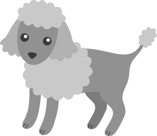 Fluffy grey poodle puppy free clip art