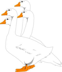 Goose 0 images about clipart and pictures on the