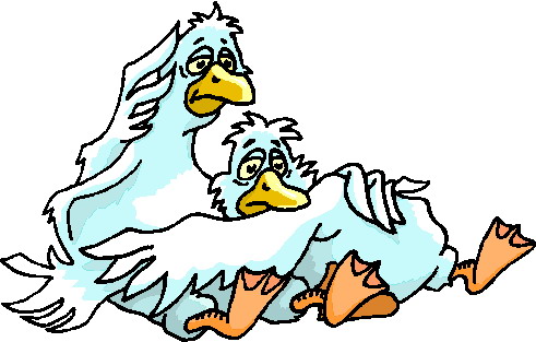 Goose geese clipart hostted 3