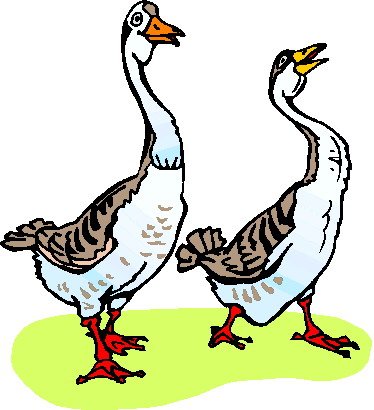 Goose hunting clipart clipart kid