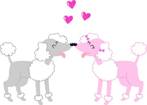 Poodle clipart image pink hearts floating over two smooching
