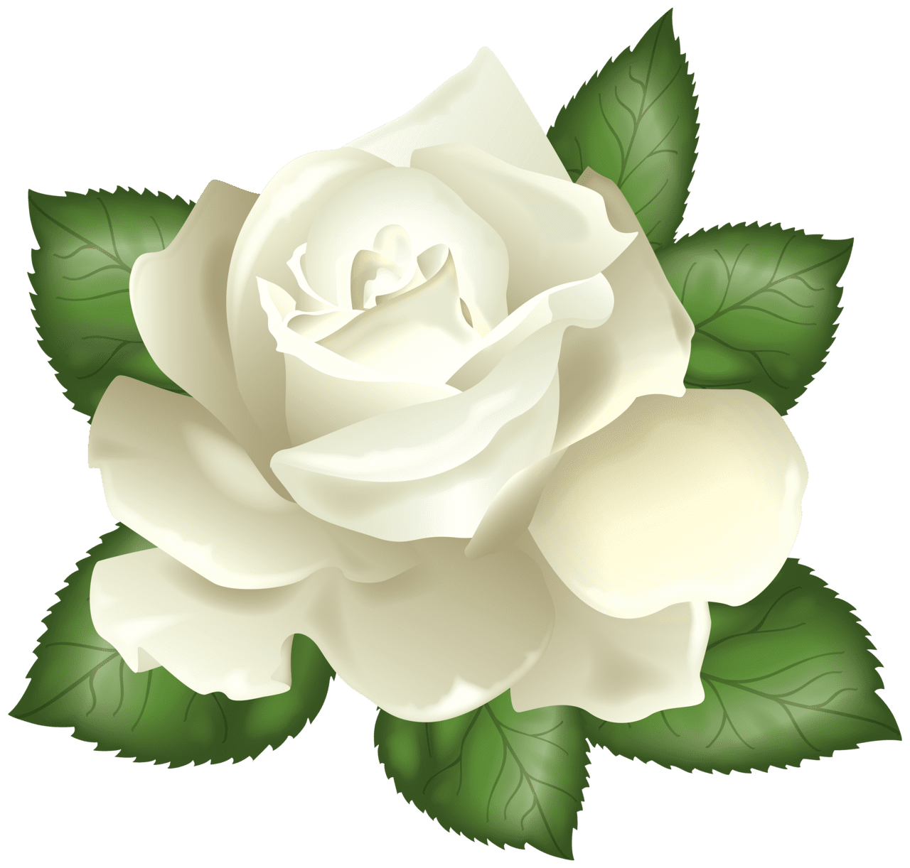 Rose pin page clipart picture