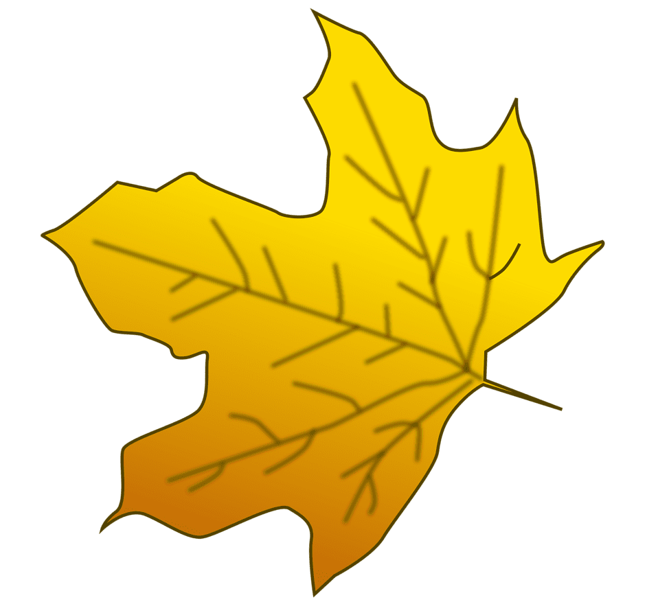 Leaf autumn photo of yellow clipart