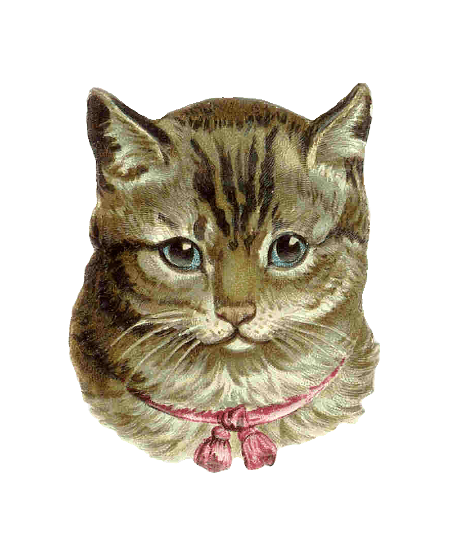 Cat antique images clipart