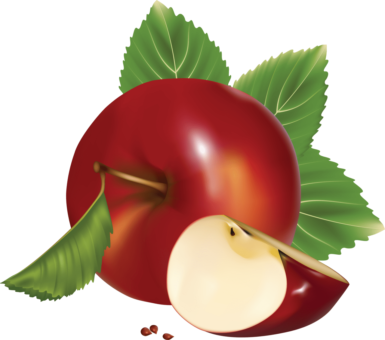 Red apple clipart clip art