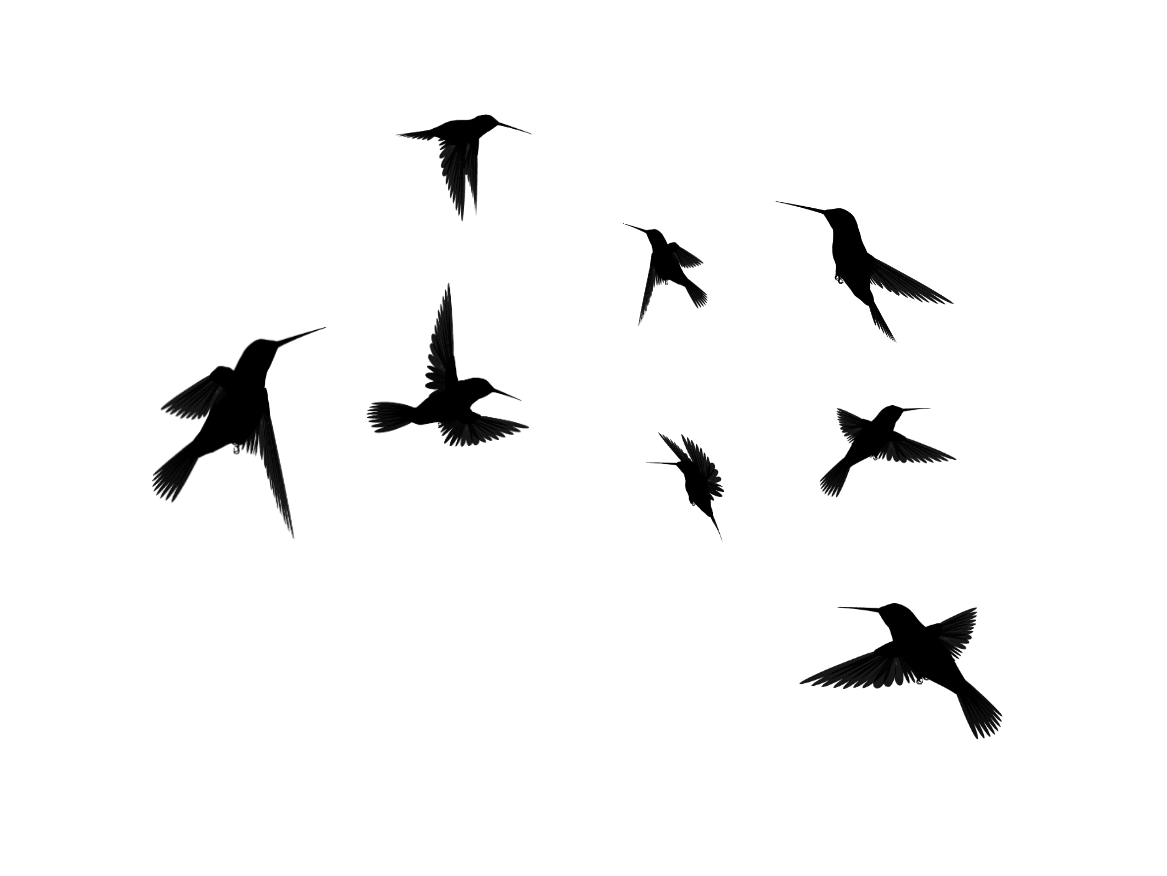 Flying bird silhouette cliparts that you can to bf kgm clipart suggest free