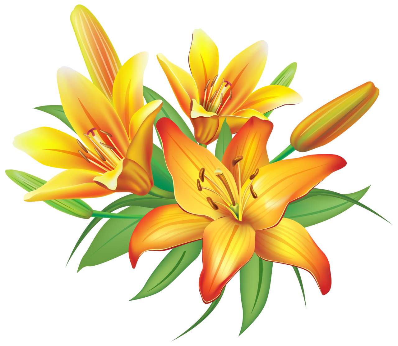 Yellow lilies flowers decoration clipart image