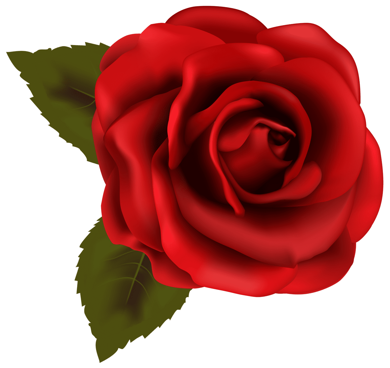 Rose flowers clipart photo