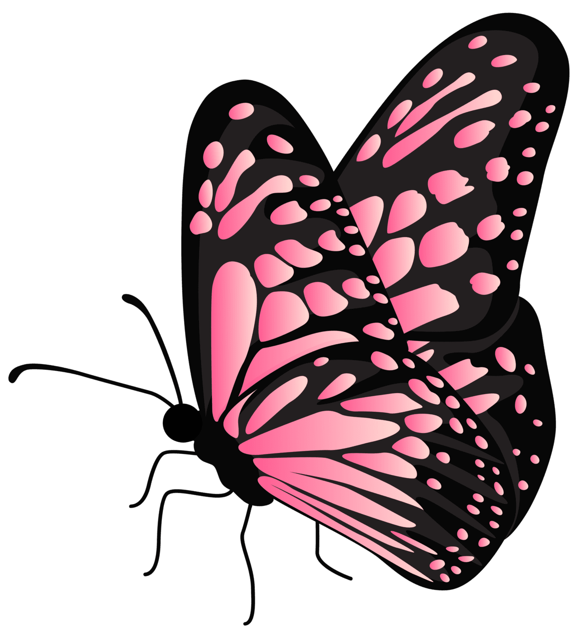 Fly butterfly clipart transparent