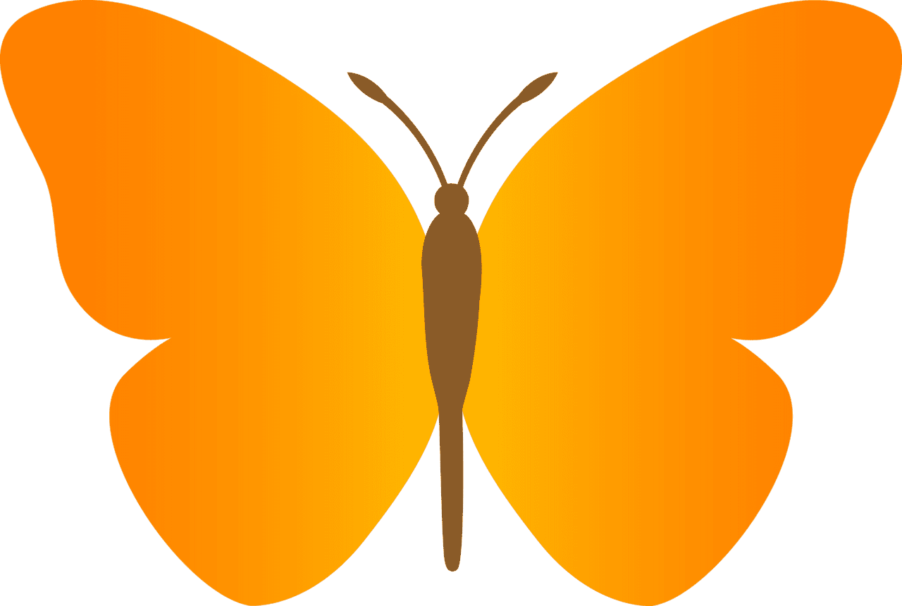 Butterfly drawing clipart clip art