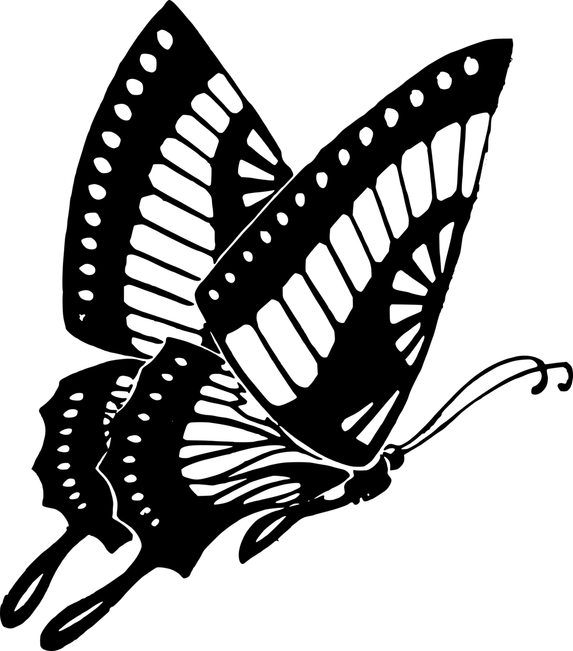 Butterfly clipart transparent