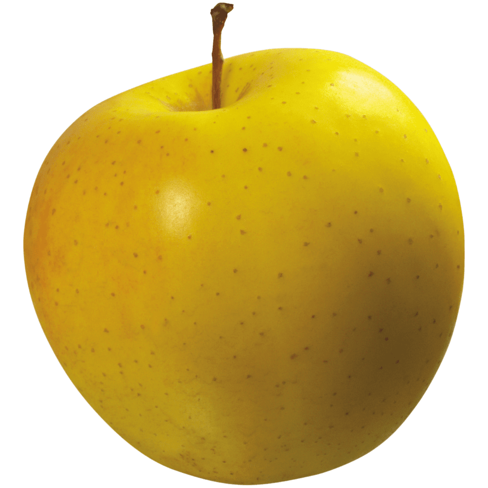 Yellow apple images hd photo clipart