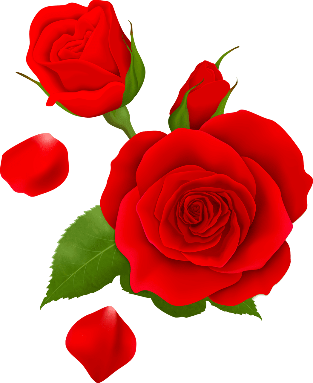 Rose flower clipart free